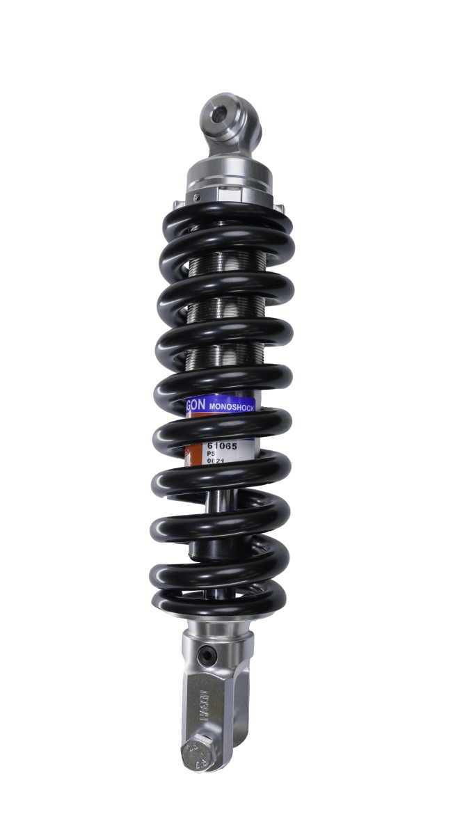 NX650J/K/L/M/N/P/R DOMINATOR (RD02) - M61065STD